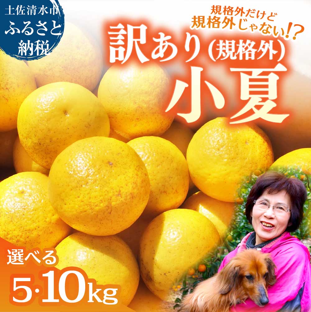 【ふるさと納税】R8.4月中旬以降発送 規格外だけど規格外じゃない!? 訳あり 小夏 ５kg 10kg 日向夏 みかん ミカン 柑橘 フルーツ 果物 果実 こなつ ニューサマーオレンジ 土佐小夏 とさ小夏 旬 おいしい ワケアリ 自宅用 土佐清水市 故郷納税 返礼品 高知 送料無料【R01487】