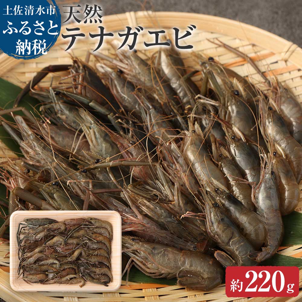 楽天市場】【ふるさと納税】 幻の天然セミエビ１kg（サイズおまかせ）※着日指定不可※漁師のごちそうをお届け！甲殻類 海老 海鮮BBQ えび エビ  せみえび 冷蔵 配送 賞味期限が短い 新鮮 美味しい 希少 高級食材 故郷納税 ふるさとのうぜい 返礼品 土佐清水市 高知【R00678 ...