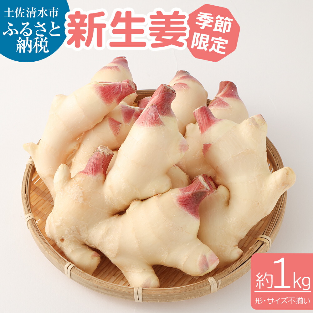 【ふるさと納税】先行受付 令和7発送分 新生姜1kg 生姜 生姜湯 ジンジャー しょうが ショウガ 1キロ 野菜 旬 季節限定 農家直送 佃煮 甘酢漬け ガリ ジンジャーエール 産地直送 新鮮 温まる 温活 冷え対策 国産 故郷納税 高知県 土佐清水市 送料無料 高知 6000円【R00009】