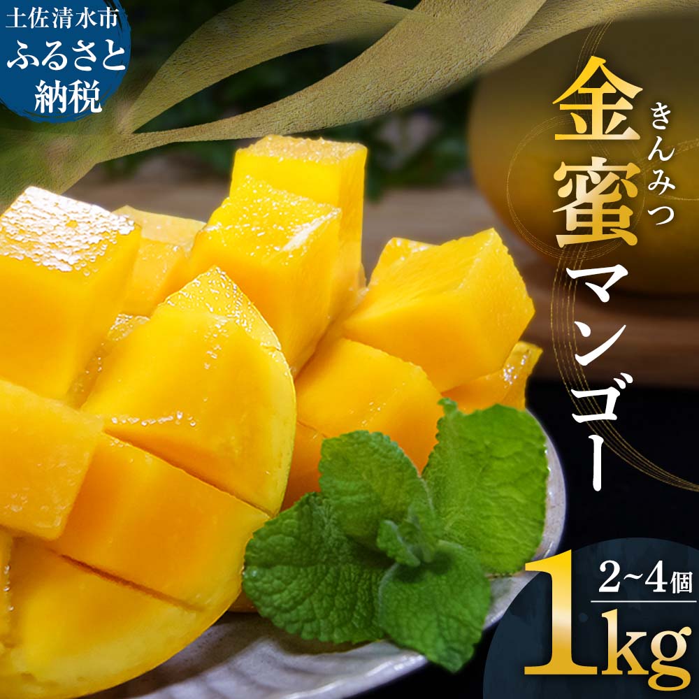 【ふるさと納税】2025年発送 レア品種 完熟金蜜マンゴー１kg（２個～４個入り）マンゴー 南国フルーツ 金蜜 きんみつ種 糖度20度以上 高糖度 完熟 果物 くだもの フルーツ 果汁 濃厚 ジューシー 甘い デザート ギフト 贈答 プレゼント 故郷納税 高知県 土佐清水市【R00627】