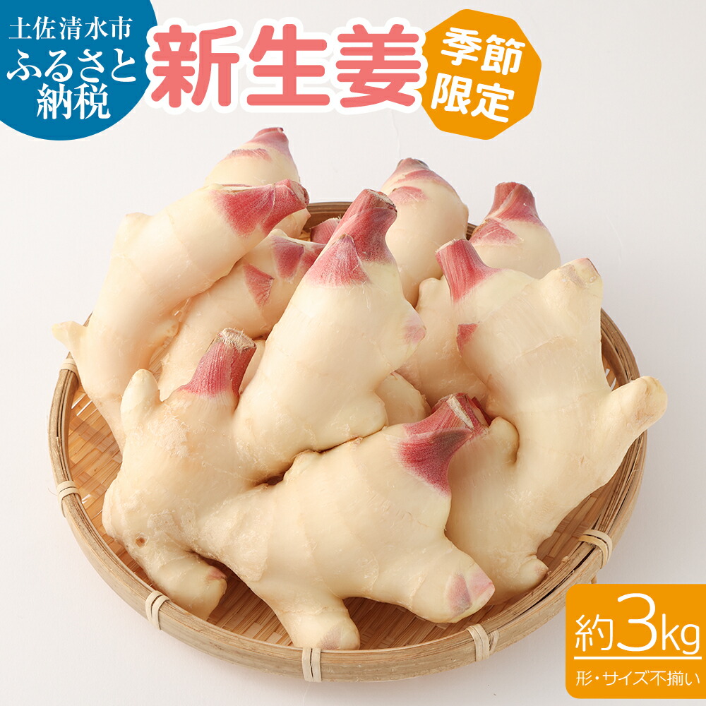 【ふるさと納税】先行予約 R7発送分 新生姜3kg 季節限定 農家直送 3キロ 甘酢漬け ガリ 佃煮 ジンジャーエール しょうが ショウガ 佃煮 甘酢漬け 食品 新鮮 野菜 旬 産地直送 温まる 温活 冷え対策 国産 故郷納税 高知県 土佐清水市 送料無料 高知【R00366】