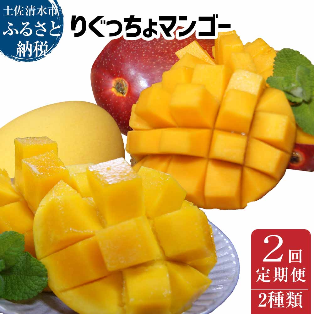 【ふるさと納税】アップルマンゴー＆金蜜マンゴー（各種１kg・2個～4個入り）【2回定期便】 マンゴー 南国フルーツ 果物 果汁 濃厚 ジューシー フルーツ くだもの 甘い デザート 希少 ギフト プレゼント 贈答 送料無料 故郷納税 高知県 土佐清水市 高知【J00025】