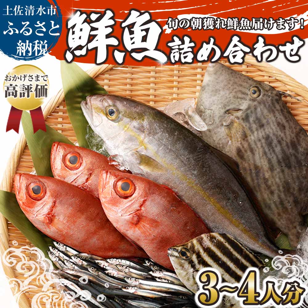 【ふるさと納税】旬の朝獲れ鮮魚詰め合わせ 以布利定置網 漁師直送 朝獲れ 朝どれ 鮮魚ボックス 旬 鮮魚 ３～４人分 魚介 海鮮 魚 さかな せんぎょ サバ タイ アジ 鮮魚セット 詰め合わせ おまかせ お任せ 故郷納税 高知県 土佐清水市 送料無料 高知 産地直送【S00818】
