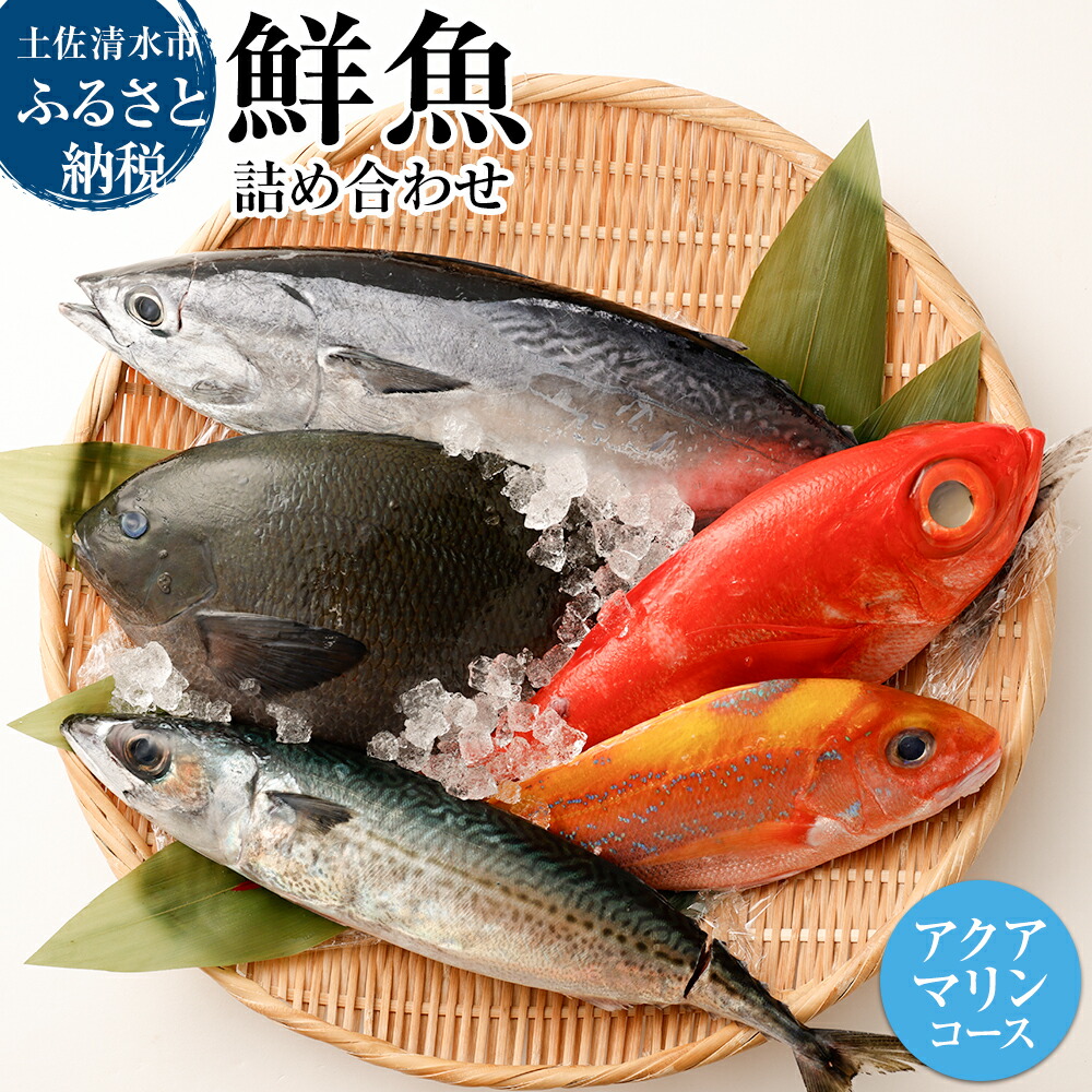 楽天市場】【ふるさと納税】 幻の天然セミエビ１kg（サイズおまかせ）※着日指定不可※漁師のごちそうをお届け！甲殻類 海老 海鮮BBQ えび エビ  せみえび 冷蔵 配送 賞味期限が短い 新鮮 美味しい 希少 高級食材 故郷納税 ふるさとのうぜい 返礼品 土佐清水市 高知【R00678 ...