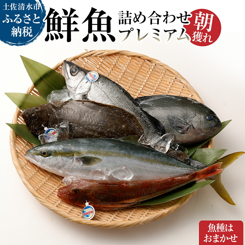 楽天市場】【ふるさと納税】鮮魚 ボックス 詰め合わせ 朝獲れ 朝