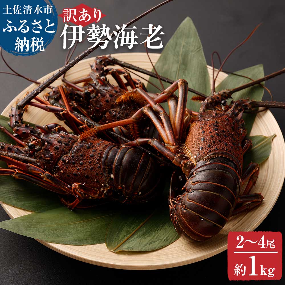 楽天市場】【ふるさと納税】 幻の天然セミエビ１kg（サイズおまかせ）※着日指定不可※漁師のごちそうをお届け！甲殻類 海老 海鮮BBQ えび エビ  せみえび 冷蔵 配送 賞味期限が短い 新鮮 美味しい 希少 高級食材 故郷納税 ふるさとのうぜい 返礼品 土佐清水市 高知【R00678 ...