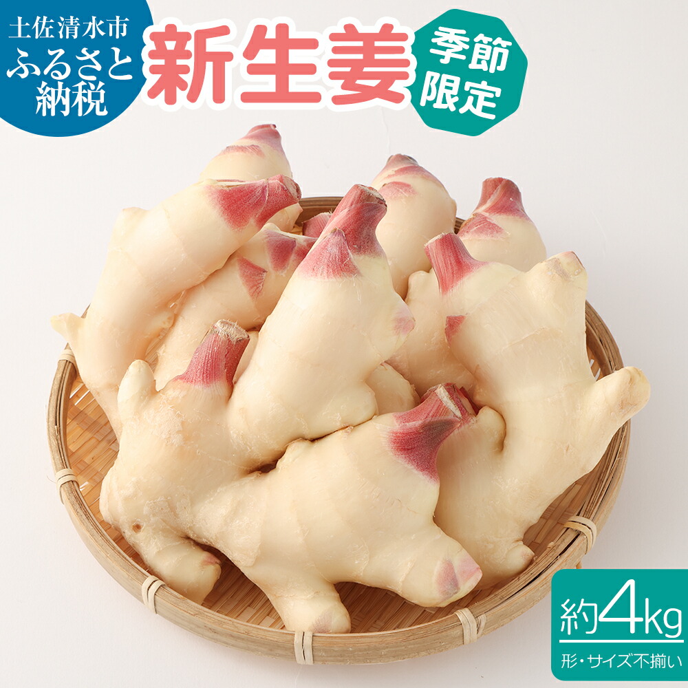 【ふるさと納税】先行予約 R7発送分 新生姜4kg 季節限定・農家直送 4キロ 甘酢漬け ガリ 佃煮 ジンジャーエール しょうが ショウガ 佃煮 甘酢漬け 食品 野菜 旬 産地直送 新鮮 温まる 温活 冷え対策 国産 故郷納税 高知県 土佐清水市 送料無料 高知【R00445】