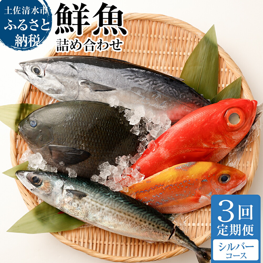 【ふるさと納税】<3回定期便> 鮮魚 ボックス 季節の鮮魚 おまかせお楽しみセット(シルバーコース)鮮魚 詰め合わせ 天然魚 食べ比べ 魚介類 海鮮料理 魚 新鮮 刺し身 お刺身 煮付け ふるさと納税 お楽しみ 定期便 3ヶ月 ふるさとのうぜい 故郷納税 返礼品 【J00034】|高知県土佐清水市