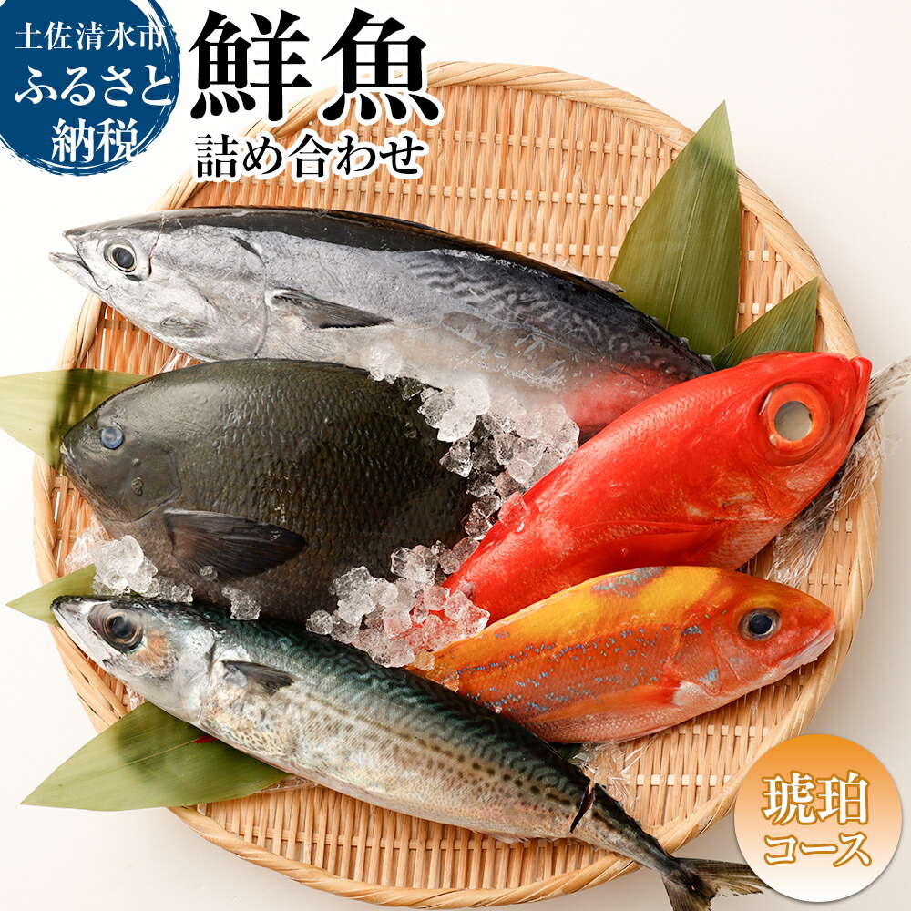 【ふるさと納税】鮮魚 ボックス おまかせ！季節の鮮魚 お楽しみセット（琥珀コース）鮮魚 詰め合わせ 天然魚 食べ比べ 魚介類 海鮮料理 セット お楽しみ おまかせ 新鮮 魚 季節の魚 刺し身 お刺身 煮付け 美味しい ふるさとのうぜい 故郷納税 高知 土佐清水市 【R01096】