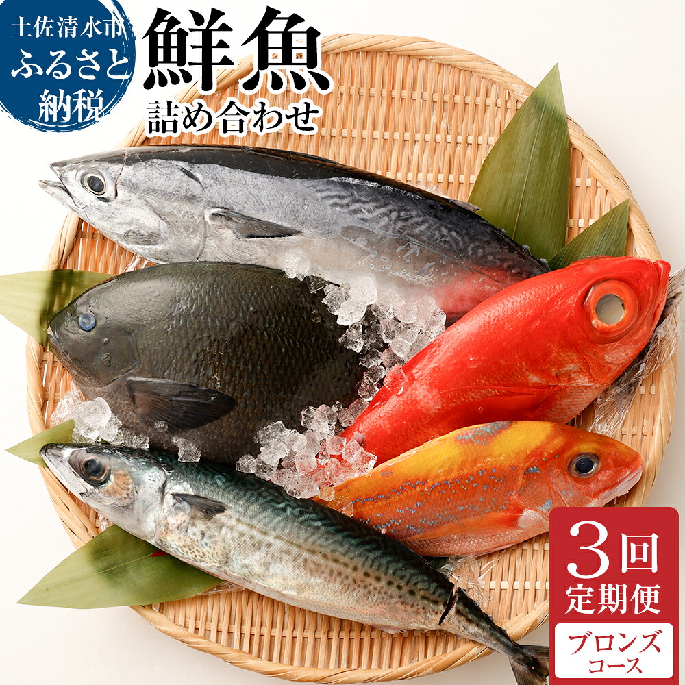【ふるさと納税】<3回定期便> 鮮魚 ボックス 季節の鮮魚 おまかせお楽しみセット(ブロンズコース)鮮魚 詰め合わせ 天然魚 食べ比べ 魚介類 海鮮料理 魚 新鮮 刺し身 お刺身 煮付け ふるさと納税 お楽しみ 定期便 3ヶ月 ふるさとのうぜい 故郷納税 【J00023】