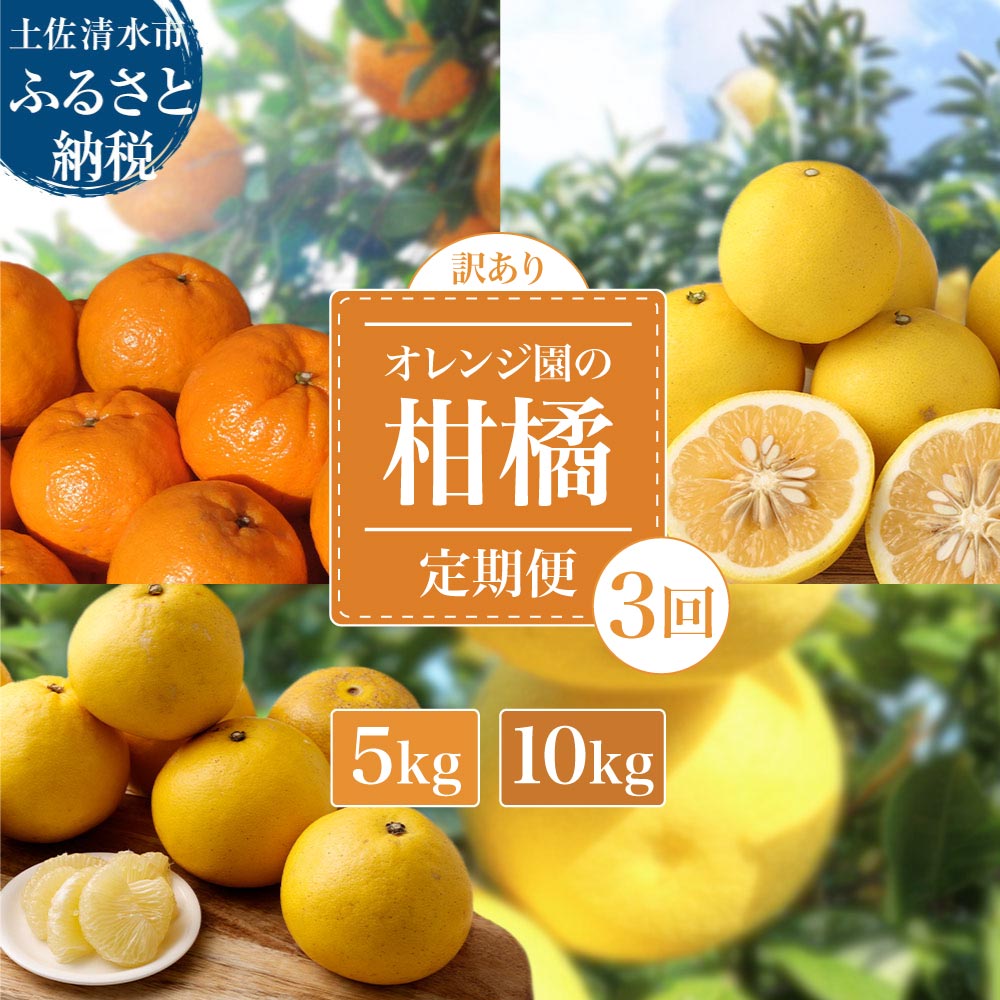 【ふるさと納税】令和８年発送 訳あり オレンジ園の柑橘3種（ぽんかん・文旦・小夏）各5kg 各10kg 3回定期便 フルーツ定期便 ポンカン ぶんたん こなつ 果物 蜜柑 みかん ミカン 柑橘 フルーツ デザート 国産 常温 配送 高知県 高知 土佐清水 故郷納税【J00102】