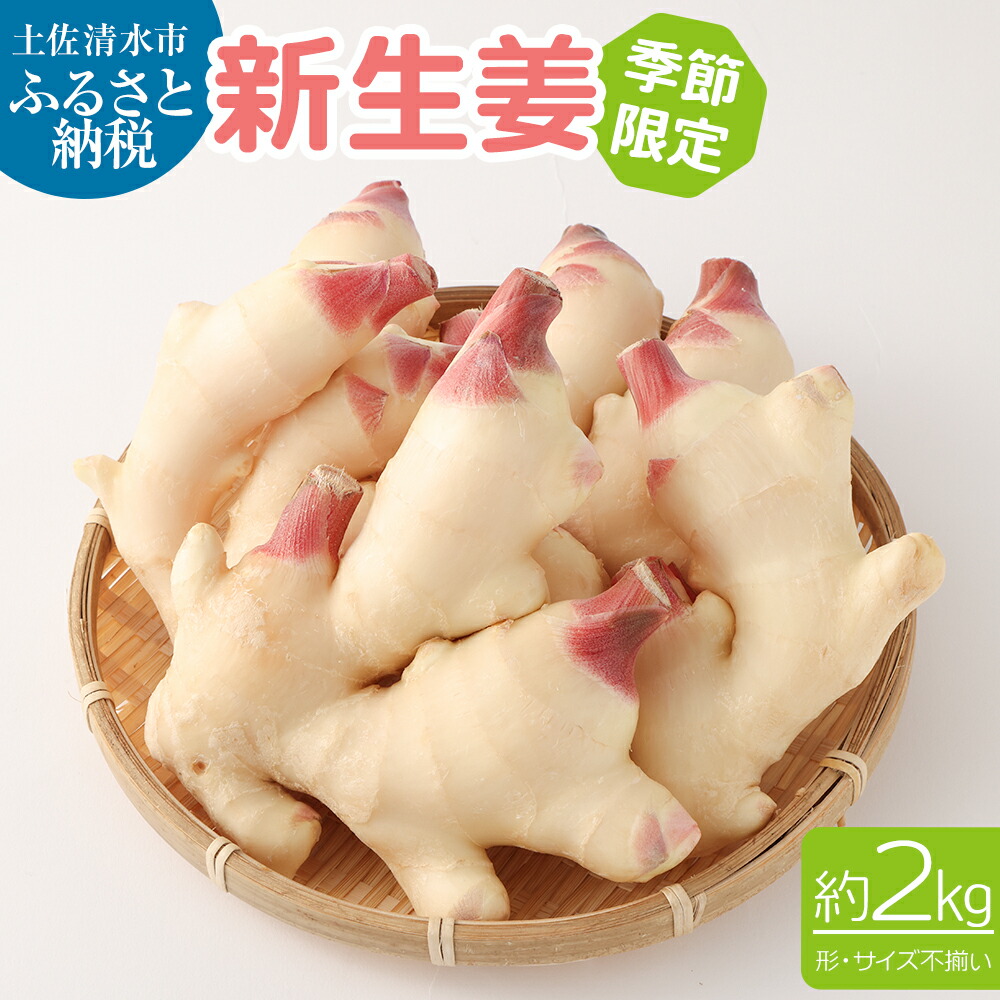 【ふるさと納税】先行予約 R7発送分 新生姜 2kg 季節限定・農家直送 甘酢漬け ガリ 佃煮 ジンジャーエール しょうが ショウガ 野菜 佃煮 甘酢漬け 食品 新鮮 旬 産地直送 温まる 温活 冷え対策 国産 故郷納税 高知県 土佐清水市 送料無料 高知 9000円【R00195】