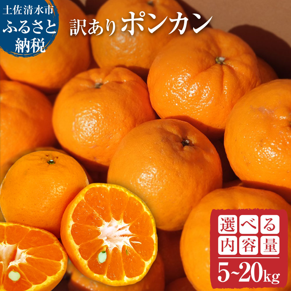 【ふるさと納税】令和８年発送 訳ありぽんかん５kg～（オレンジ園） 選べる内容量 デコポンの親 ぽんかん ポンカン みかん ミカン 果物 果実 柑橘 フルーツ ポンカン でこぽん おやつ デザート 甘い 美味しい おいしい 家庭用 名物 国産 高知県  土佐清水 故郷納税【R01080】