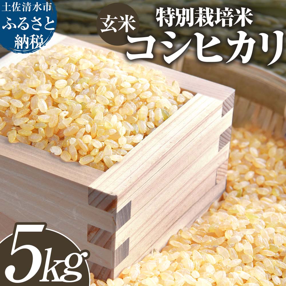 【ふるさと納税】土佐清水産 特別栽培米 コシヒカリ 玄米 5kg 5キロ 先行予約 令和7年8月中旬以降順次発送予定 お米 おこめ 米 こめ ごはん 飯 こしひかり ブランド米 おいしい 国産 送料無料 高知県 土佐清水市 故郷納税 返礼品 高知【R01395】