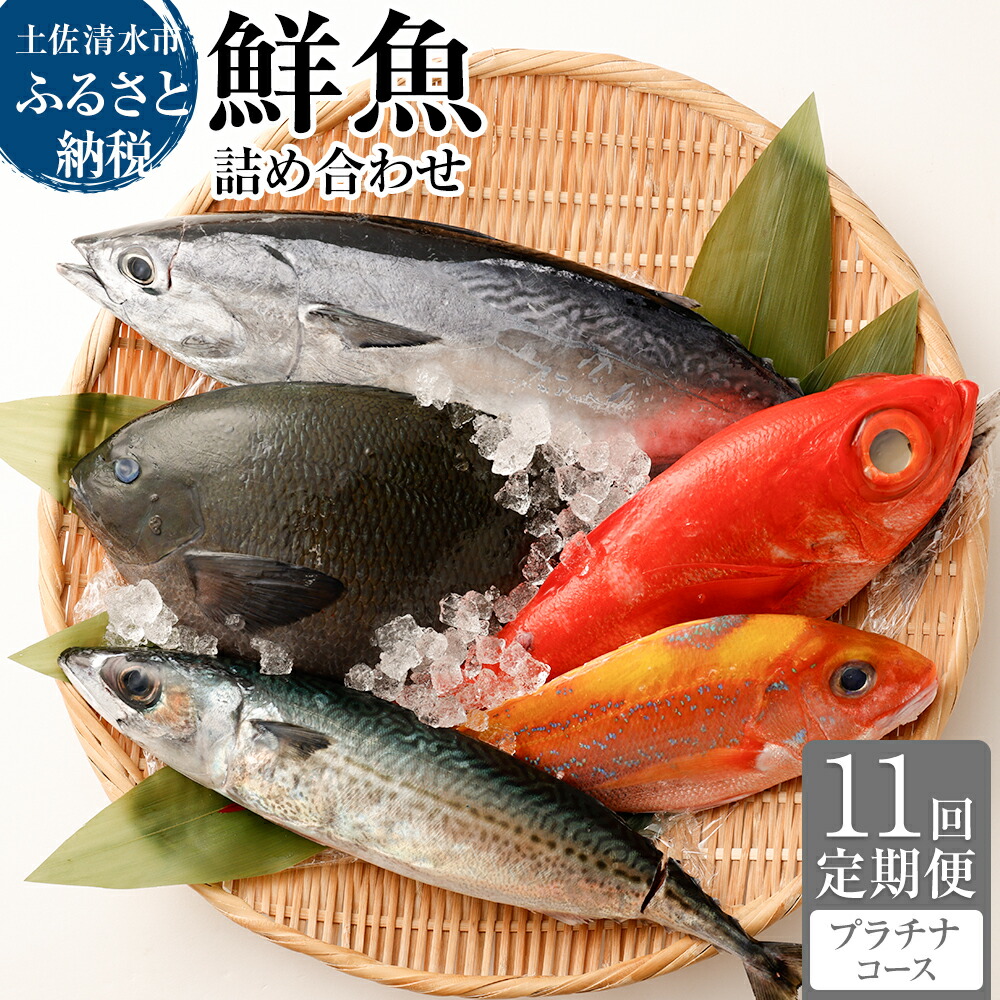 【ふるさと納税】＜11回定期便＞ 鮮魚 ボックス 季節の鮮魚 おまかせお楽しみセット （プラチナコース） 鮮魚 詰め合わせ 天然魚 食べ比べ 魚介類 海鮮料理 魚 新鮮 刺身 お刺身 煮付け ふるさと納税 お楽しみ 定期便 定期コース 11ヶ月 ふるさとのうぜい返礼品 【J00054】