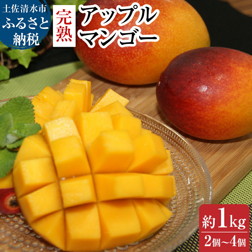 【ふるさと納税】 完熟アップルマンゴー１kg（2個～4個入り）マンゴー アーウィン種 南国フルーツ 果物 くだもの フルーツ 果汁 濃厚 ジューシー デザート 樹上完熟マンゴー ギフト プレゼント 贈答 送料無料 常温 配送 故郷納税 高知県 土佐清水市 高知【R00520】