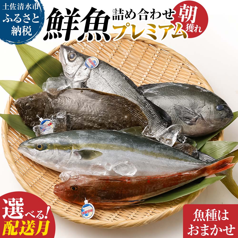 【ふるさと納税】鮮魚 ボックス 旬の朝獲れ鮮魚詰め合わせ（プレミアム） ※着日指定不可【以布利定置網　漁師直送】朝獲れ 旬 鮮魚 詰め合わせ 魚介 海鮮 魚 さかな せんぎょ 鮮魚セットおまかせ お任せ 故郷納税 高知県 土佐清水市 送料無料 高知【S00819】