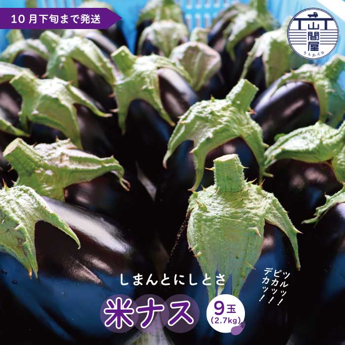 楽天市場】高知県産 米なす（べいなす） Mサイズ 2.5kg（9玉入