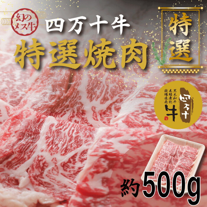 SALE／91%OFF】 22-977．幻のメス牛 四万十牛特選焼肉 約500ｇ 国産 高知 しまんと 四万十 四万十牛 メス牛 お取り寄せ 牧場直売  肉 牛肉 黒毛和牛 ご褒美 焼肉 リブロース 肩ロース バーベキュー BBQ fucoa.cl