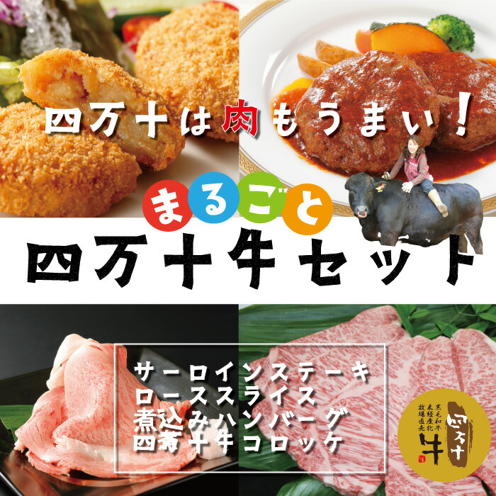 22-021．幻のメス牛 まるごと四万十牛セット サーロインステーキ ローススライス 煮込みハンバーグ 四万十牛コロッケ 国産 高知 四万十市 四万十牛  メス牛 お取り寄せ 牧場直売 肉 牛肉 黒毛和牛 コロッケ 冷凍 公式ショップ