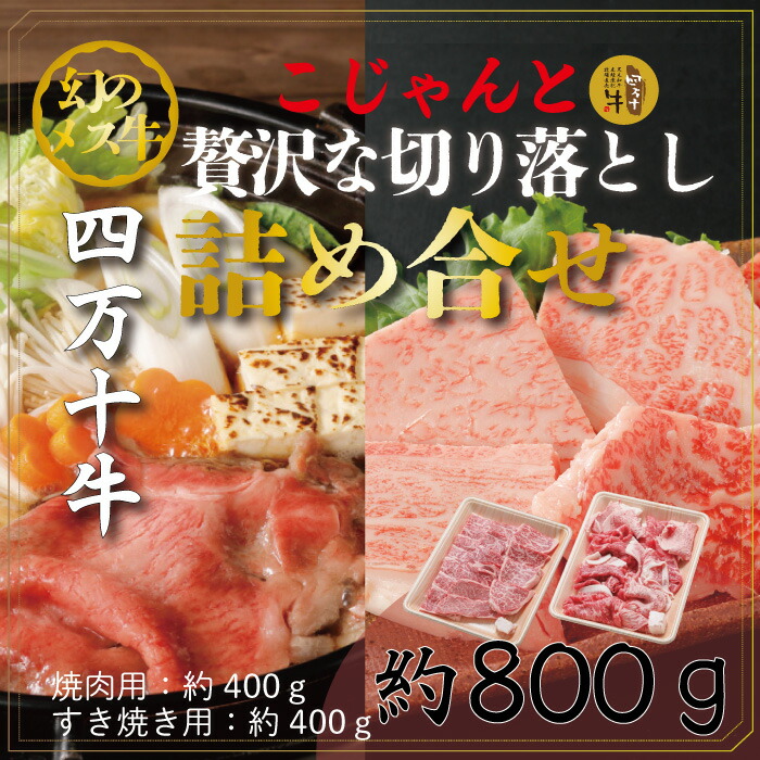 【ふるさと納税】26-020．幻のメス牛　四万十牛こじゃんと贅沢な詰め合せ(焼肉用・すき焼き用)計800ｇ 国産 冷凍 黒毛和牛 特上 ロース 焼肉 やきにく すき焼 すきやき 牛肉 肉 ビーフ ご当地 グルメ 食べ比べ 専門店 四国 高知 四万十 しまんと お取り寄せ 送料無料｜高知県四万十市