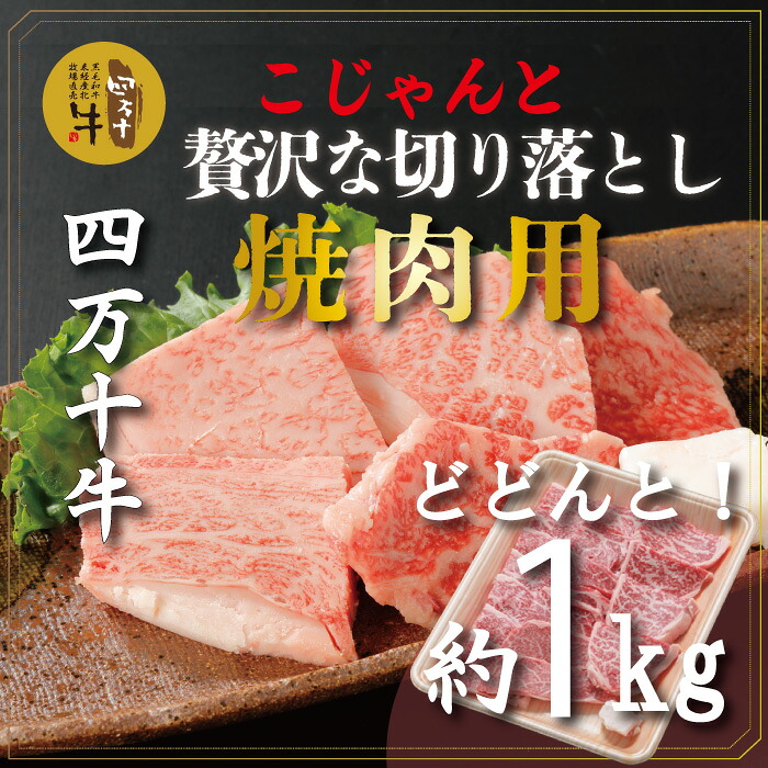 【ふるさと納税】26-979．幻の四万十牛 四万十産黒毛和牛 焼肉用 切り落とし 約1ｋｇ ふるさと納税 高知 肉 黒毛和牛 お取り寄せ 産地直送 送料無料