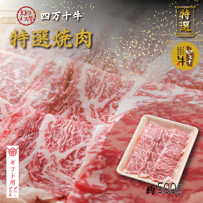 【ギフト用（包装・のし対応）】【ふるさと納税】26-977G．幻のメス牛 四万十牛特選焼肉（約500ｇ） 国産 高知 しまんと 四万十 四万十牛牧場直売 肉 牛肉 黒毛和牛 ご褒美 焼肉 リブロース 肩ロース バーベキュー BBQ 包装 のし サマーギフト お中元 残暑見舞い 暑中見舞い｜高知県四万十市 23,100円