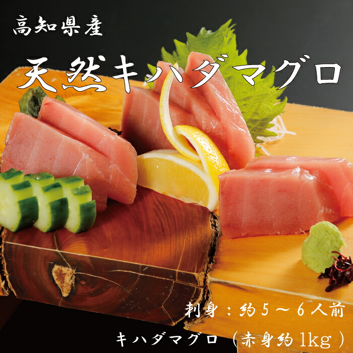 【ふるさと納税】26-1000．お刺身や漬け丼に！　天然まぐろ　キハダマグロ（赤身）約1kg　刺身：5～6人前 おかず お取り寄せ グルメ 鮪 送料無料