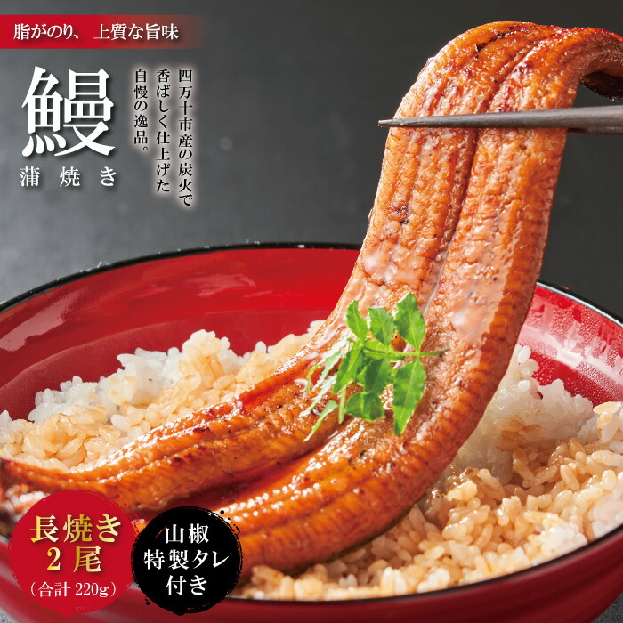 【ふるさと納税】R5-366．＜四万十食品＞うなぎ蒲焼　長焼2尾／ＢＣ 国産 高知 四万十 しまんと 鰻 ウナギ お取り寄せグルメ 国産鰻 蒲焼 鰻蒲焼 2尾 送料無料
