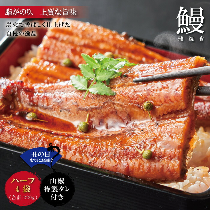 【ふるさと納税】【土用の丑の日までにお届け】＜四万十食品＞うなぎ蒲焼　ハーフ4袋／ＢＣ 鰻 ウナギ うなぎ お取り寄せ グルメ お楽しみ おいしい ギフト 食品 おかず ひつまぶし 国産鰻 蒲焼 うなぎ蒲焼 鰻蒲焼 冷凍 送料無料 国産 高知 四万十 25-359U