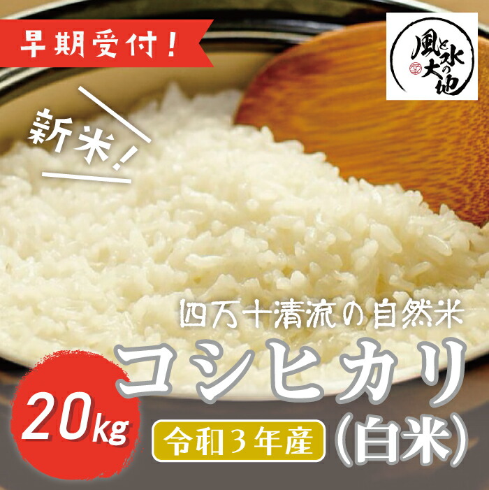 ふるさと納税 21 852 令和3年産 新米 早期受付 四万十清流の自然米 白米 コシヒカリ Sylvainpaley Cool