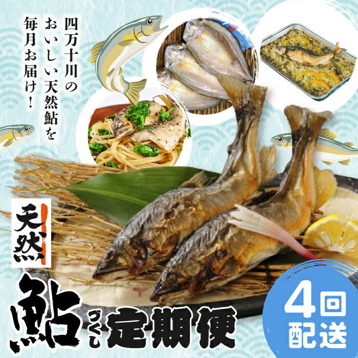 【ふるさと納税】R6-851．【4回定期便】鮎づくし！清流四万十川で育った天然鮎の定期便 人気 グルメ 定期便 国産 魚介 魚 天然 鮎 あゆ アユ コンフィ 缶詰 焼き魚 干物 パエリア 惣菜 おかず 四万十川 高知 四万十 しまんと 送料無料