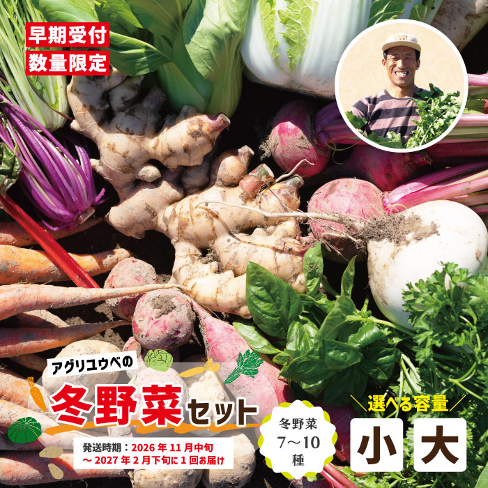 【ふるさと納税】【 選べる 容量 回数 】アグリユウベの冬野菜セット 小 大 早期受付 数量限定 とれたて 新鮮 単品 定期便 2回 3回 農家直送 国産 野菜便 やさい 野菜 冬野菜 旬 高知県 四万十市 四万十 しまんと 送料無料 【2026年11月中旬～2027年2月下旬に１回発送】