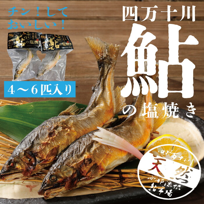 【ふるさと納税】26-839．炭火でじっくり焼いた四万十川天然鮎の塩焼き４～６匹 ふるさと納税 おかず