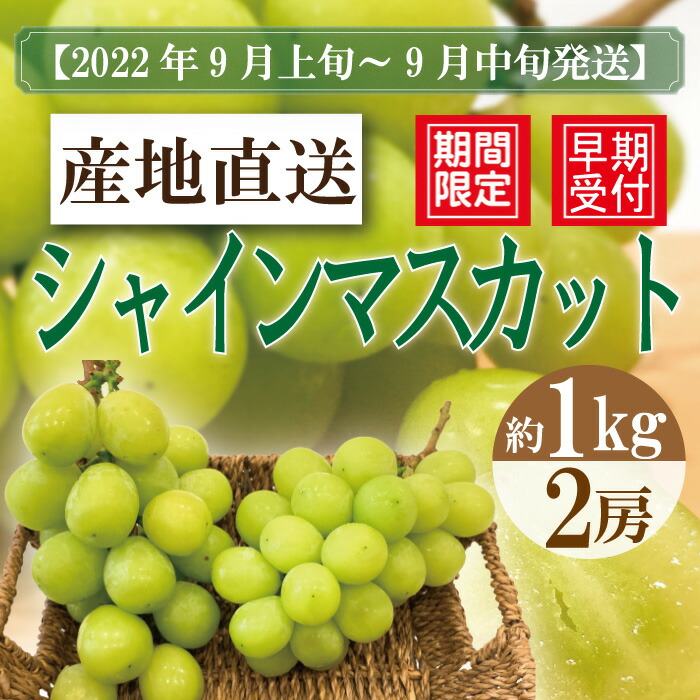 SALE／101%OFF】 ふるさと納税 先行予約 和歌山県かつらぎ町産 ピオーネ シャインマスカット 2房入り〈秀品〉 和歌山県海南市 