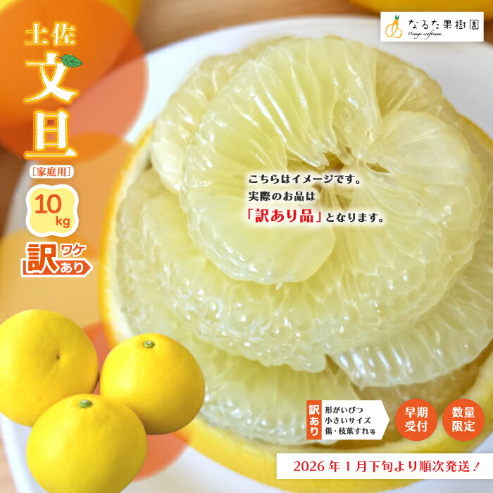 おっき〜い　土佐文旦　3L 20キロ　43 楽天市場】【ふるさと納税】 【 早期受付 期間限定 数量限定