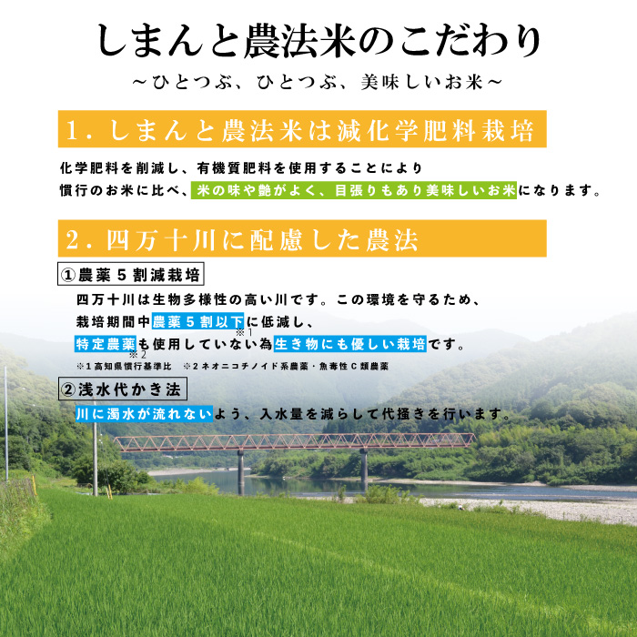 売り込み ふるさと納税 西会津町 《定期便6ヶ月》栽培期間中減農薬