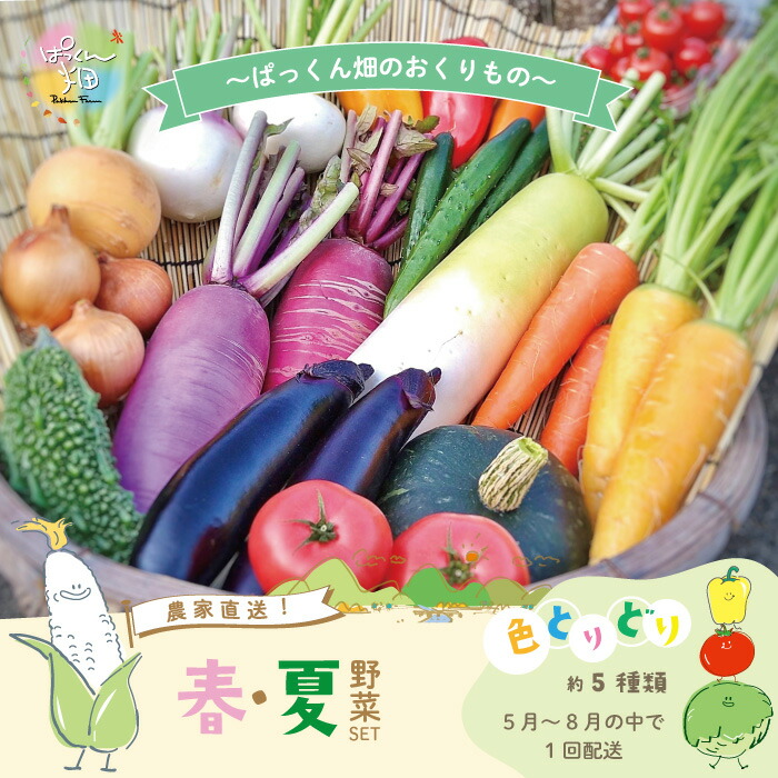 【ふるさと納税】24-800．【 早期受付 】とれたて新鮮！ぱっくん畑のおくりもの 農家直送 春・夏 野菜セット 約5種類 南国 新鮮 野菜 やさい ベジタブル 国産 高知県 高知 しまんと お取り寄せ 四万十市 春野菜 夏野菜 送料無料【2025年5月～8月の間に1回配送】