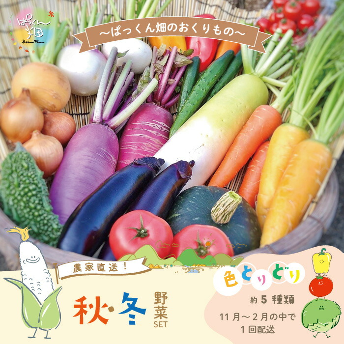 【ふるさと納税】【 早期受付 】 とれたて 新鮮 ！ぱっくん畑のおくりもの 農家直送 秋・冬 野菜セット 約5種類 国産 野菜 やさい ベジタブル 先行 予約 高知県 高知 しまんと 四万十市 野菜便 限定 お取り寄せ 秋野菜 冬野菜 【2025年11月～2026年2月の間に1回配送】25-054