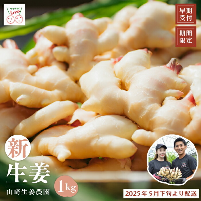 【ふるさと納税】24-746．【 早期受付 期間限定 】みずみずしさがたまらない！ 新生姜 約1kg 高知県 高知 四万十市 四万十 しまんと 農作物 特産 しょうが 生姜 ショウガ 新生姜 野菜 旬 新鮮 国産 先行 予約 ジンジャー 送料無料 【2025年5月下旬～9月上旬配送】