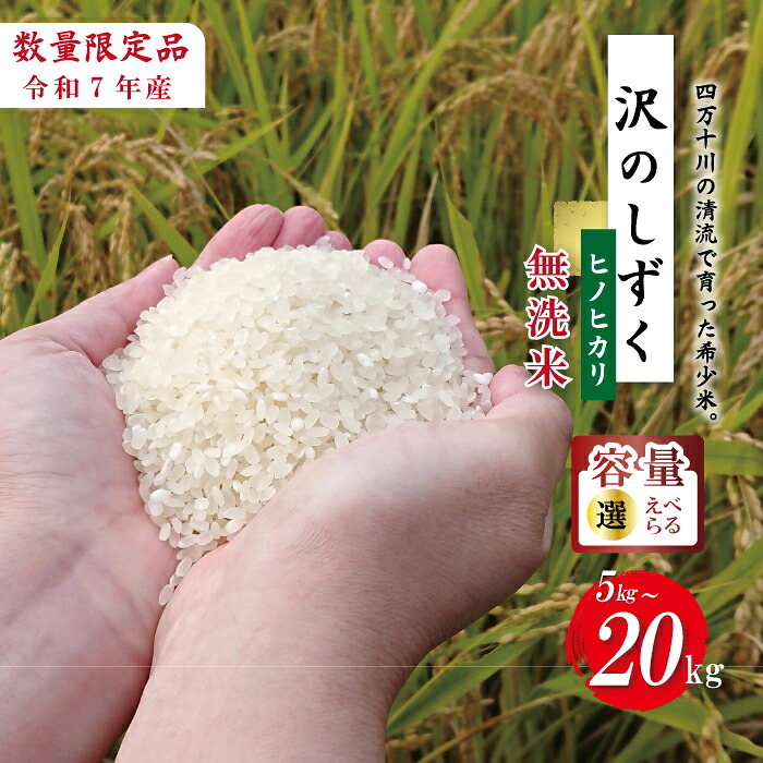【ふるさと納税】【選べる 容量】令和7年産 米 ヒノヒカリ 5kg 10kg 無洗米 精米 白米 沢のしずく 2025年 四万十市産 国産 ひのひかり おこめ こめ コメ ご飯 ごはん おいしい ふっくら もちもち 高知県 高知 四万十市 四万十 しまんと お取り寄せ 送料無料｜高知県四万十市 26,000円