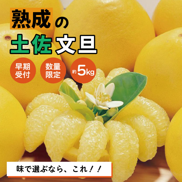 楽天市場】【ふるさと納税】【早期受付・数量限定】熟成の土佐文旦5kg