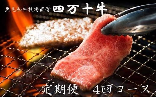【ふるさと納税】26-274．黒毛和牛 牧場直営 四万十牛 定期便 4回 冷凍 国産 牛肉 黒毛和牛 和牛 ビーフ 肉 お肉 おにく ごちそう おかず 焼肉 やきにく 焼き肉 すきやき すき焼き スライス 高知 四万十 しまんと お取り寄せ 送料無料