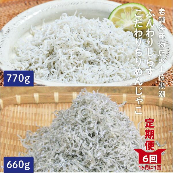 お歳暮 21 651 定期便 土佐黒潮ふんわりしらす770g こだわりちりめんじゃこ660g 1カ月に1回交互にお届け 全6回 合計 4 290g 高知県四万十市 アウトレット送料無料 Vancouverfamilymagazine Com お歳暮 21 651 定期便 土佐黒潮ふんわりしらす770g こだわりちりめんじゃこ660g 1カ月に1回交互にお届け 全6回 合計 4 290g 高知県四万十市 アウトレット送料無料 Vancouverfamilymagazine Com