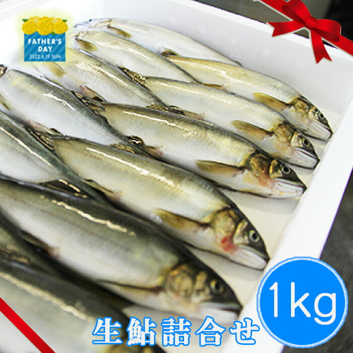 【ふるさと納税】★【令和４年５月から発送開始】物部川のキレイな伏流水で育った　生鮎詰合せ１kg【送料無料】アユ　あゆ　晩ご飯　ランチ　朝ごはん　おつまみ　のしB-193　炊き込みご飯　天ぷら　塩焼き　数量限定贈り物