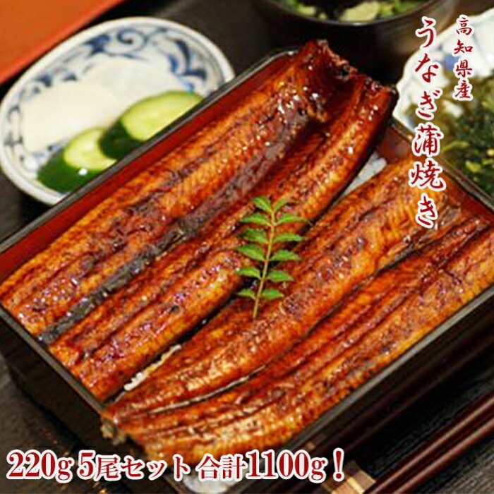 2ｇ５尾セット ふっくら美味しいうなぎ蒲焼き 高知の活鰻問屋として培った厳しい目で選定した鰻を 極上のタレでじっくり焼き上げた納得の蒲焼きです 送料無料 ふるさと納税 Y 7食品 Y 7 高知県香南市 蒲焼き 鰻 ウナギ かばやき うなぎ蒲焼き