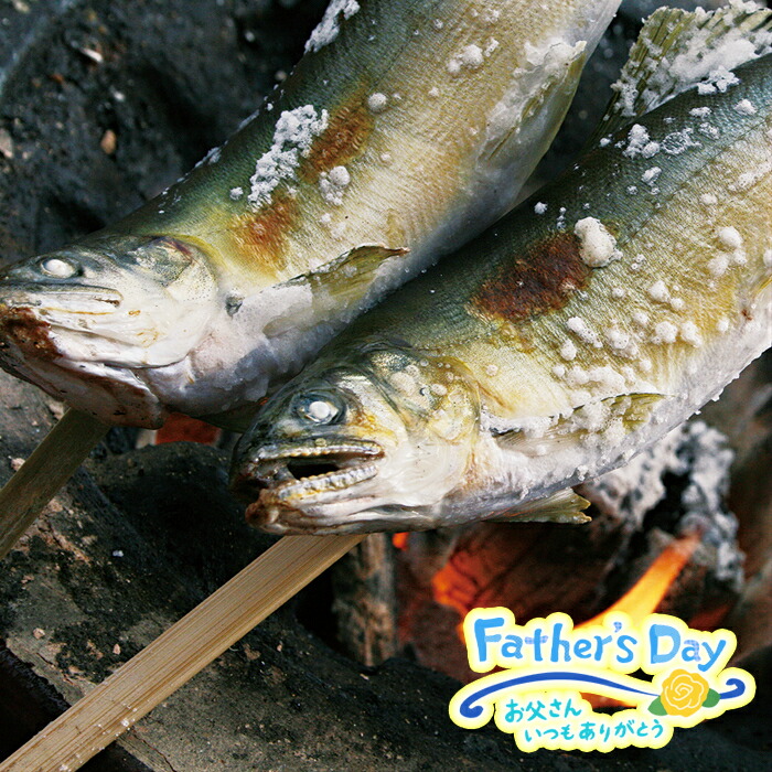 ふるさと納税 設立者の昼間賜り物 物部谷川のキレイな伏流お水で育った 凝結鮎詰合せ1 5kgアユ あゆ 塩焼き 天ぷら 炊き込み糧米送料無料 数決する ギフト おかず お手持部分父の日ギフト見こむの人コメントお言い入れしますお中元 C 131 Cannes Encheres Com