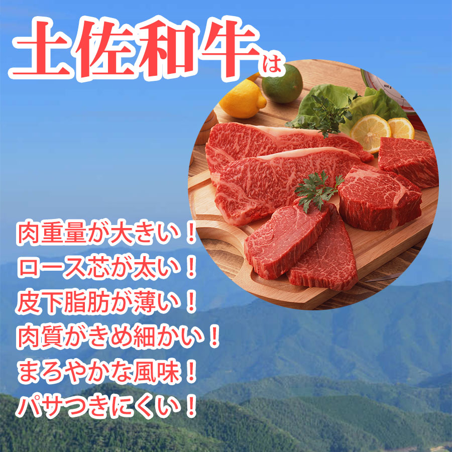 楽天市場 ふるさと納税 土佐和牛ロース焼肉 北村のたれ 小 セット高知県産 焼肉 肉 和牛 牛肉 焼肉のたれ ギフト お中元 お歳暮 Saneyam 送料無料 C 182 高知県香南市