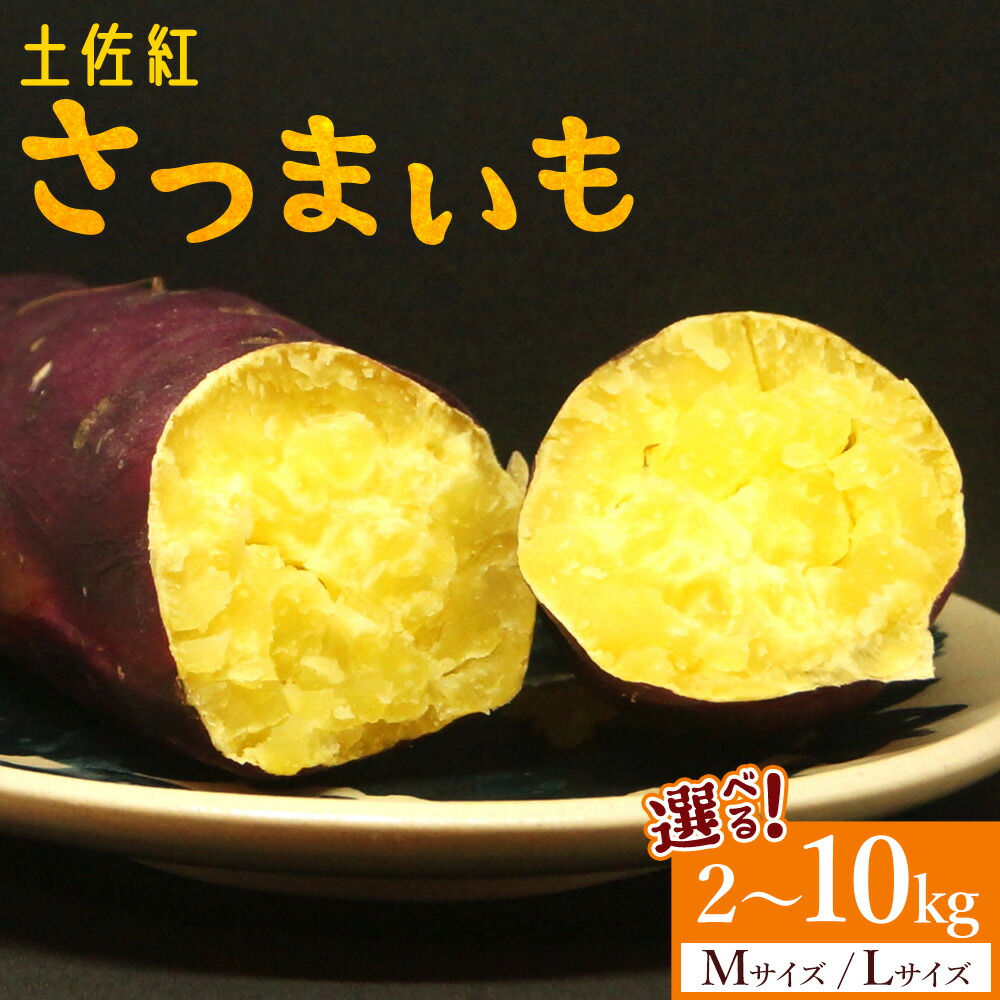 【ふるさと納税】【選べる】さつまいも 土佐紅 (サイズ：M/L)(内容量：2kg/5kg/10kg) - サツマイモ さつま芋 野菜 焼き芋 やきいも 焼いも 蒸し芋 おやつ スイーツ スイートポテト 国産 アスタ農園 高知県 香南市【常温】
