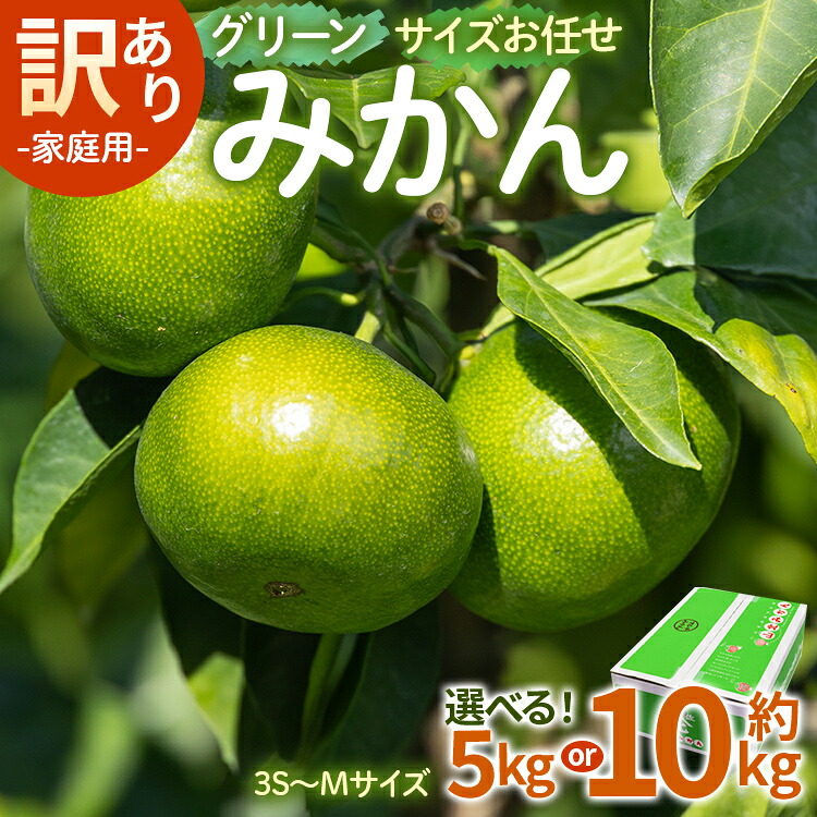【ふるさと納税】【2026年9月より順次配送】家庭用 訳あり グリーンみかん サイズお任せ(3S～Mサイズ)（内容量：約5kg/10kg）- 先行予約 数量限定 大容量 小玉 ミカン 蜜柑 柑橘 果実 果物 フルーツ 5キロ ギフトかなや農園 Benifare 特産品 高知県 香南市【常温】｜高知県香南市 16,060円